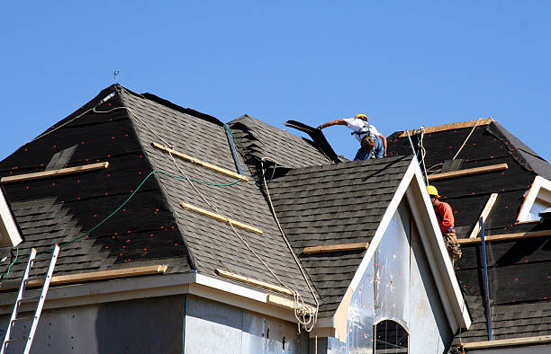 Best Storm Damage Roof Repair  in Warren, MN