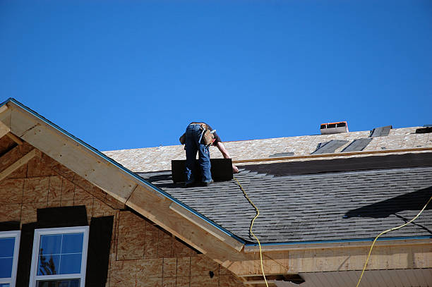 Best Gutter Installation and Roofing  in Warren, MN