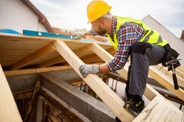 Best Roof Maintenance Services  in Warren, MN