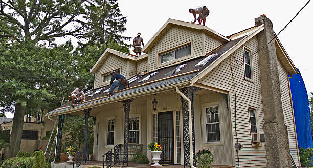 Best Roof Leak Repair  in Warren, MN